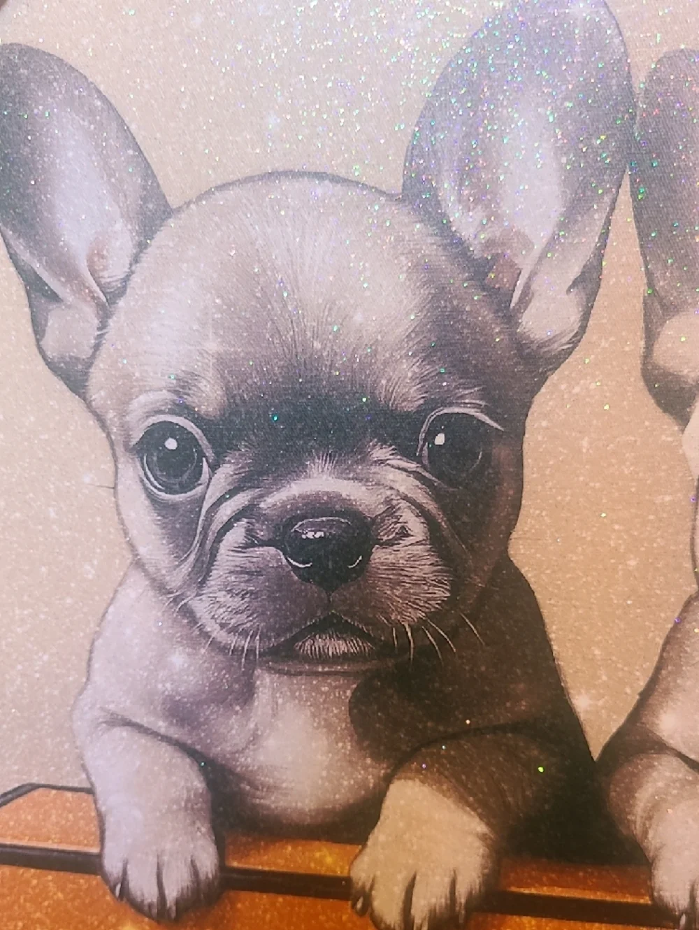 Hermes Orange Gift Box with Two French Bulldog Puppies
